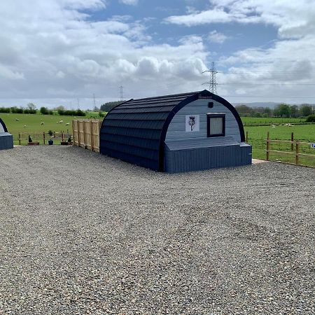 Thistle Pod Farm Stay With Hottub Sleeps 2 Galston  المظهر الخارجي الصورة