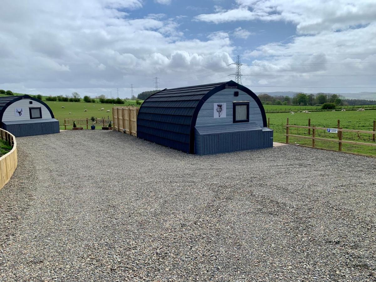 Thistle Pod Farm Stay With Hottub Sleeps 2 Galston  المظهر الخارجي الصورة
